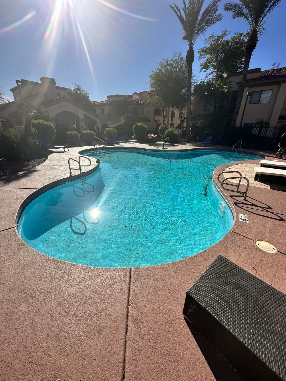 Sunny outdoor swimming pool surrounded by palm trees and lush landscaping.