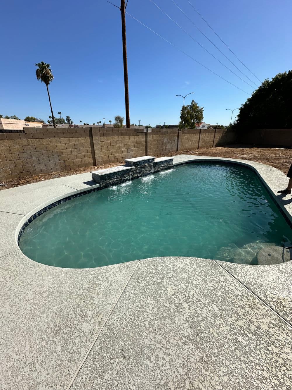 Backyard swimming pool with clear water and steps, surrounded by a fence and palm trees.